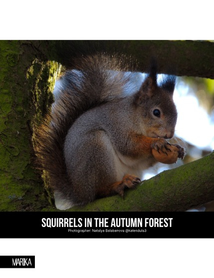 MARIKA MAGAZINE NATURE & TRAVELS (ISSUE 6081 - DECEMBER), page 4