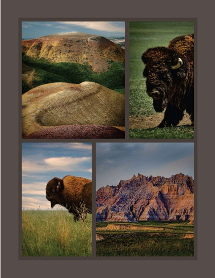 Bold & Beyond Nature (Issue 707 January 2026), page 3