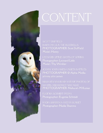 Bold & Beyond Nature (Issue 270 May 2025), page 2