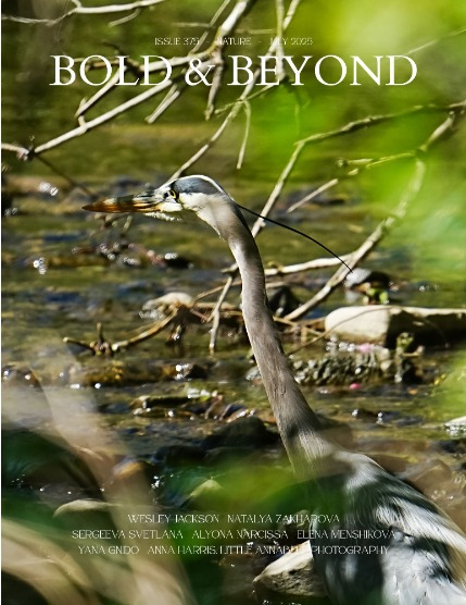 Bold & Beyond Nature (Issue 375 July 2025), page 1