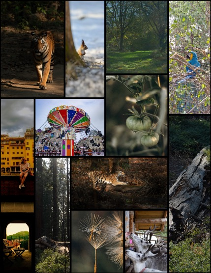 MARIKA MAGAZINE NATURE & TRAVELS (ISSUE 5531 - FEBRUARY), page 3