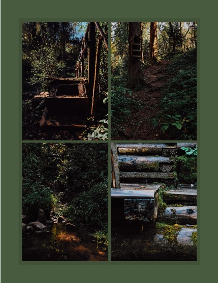 Bold & Beyond Nature (Issue 621 November 2025), page 3