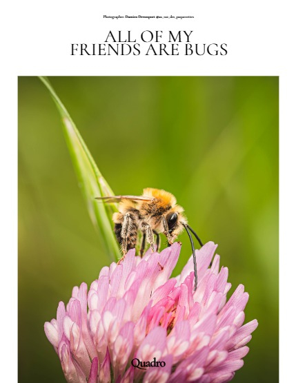 QUADRO MAGAZINE - NATURE & TRAVELS JULY (Vol 1168), page 4