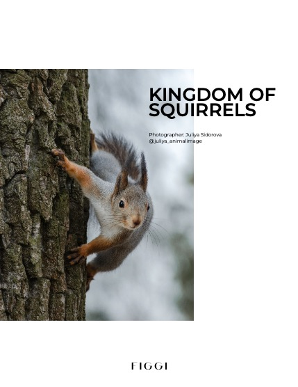 FIGGI MAGAZINE - LOVELY PETS DECEMBER (Vol 1287), page 4