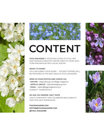 FIGGI MAGAZINE - NATURE & TRAVEL MAY (Vol 1536), page 3