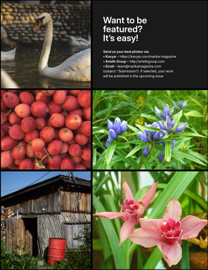MARIKA MAGAZINE NATURE & TRAVELS (ISSUE 5951 - OCTOBER), page 3