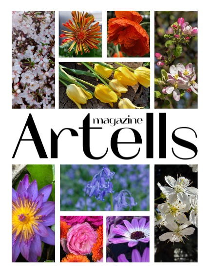 ARTELLS MAGAZINE - NATURE & TRAVELS JUNE (Vol 4099), page 2
