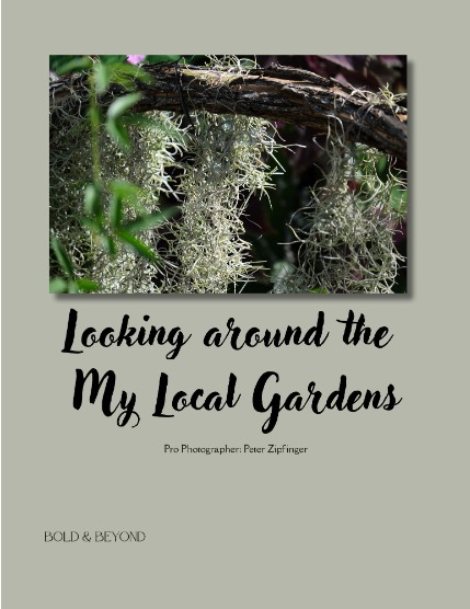 Bold & Beyond Nature (Issue 263 May 2025), page 4