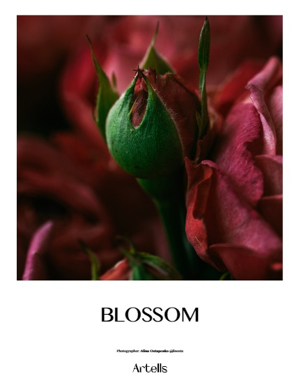 ARTELLS MAGAZINE - NATURE & TRAVELS JULY (Vol 3369), page 4