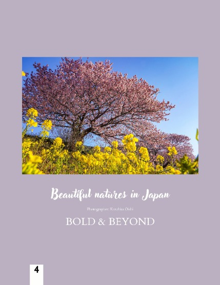 Bold & Beyond Nature (Issue 590 October 2025), page 4