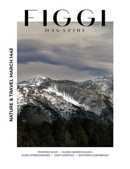 FIGGI MAGAZINE - NATURE & TRAVEL MARCH (Vol 1443), page 1