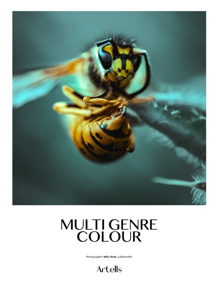 ARTELLS MAGAZINE - NATURE & TRAVELS APRIL (Vol 3985), page 4