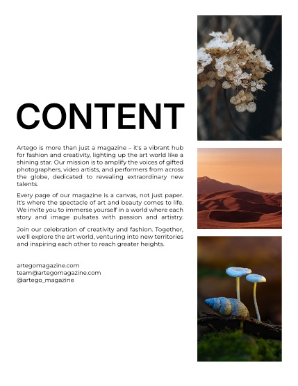 ARTEGO MAGAZINE - NATURE & TRAVELS FEBRUARY ISSUE 686, page 2