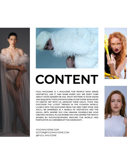 FIGGI MAGAZINE - PORTRAIT MARCH (Vol 1470), page 3