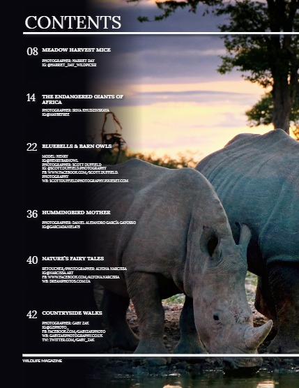 Conker Nature Magazine - June/July 2025: The Wildlife Edition, page 4