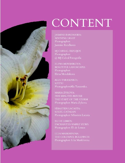 Bold & Beyond Nature (Issue 468 August 2025), page 2