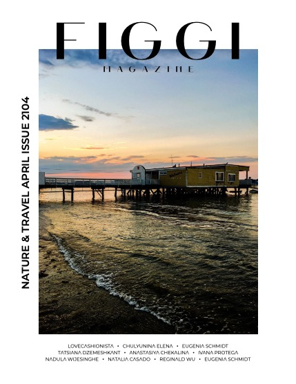 FIGGI MAGAZINE - NATURE & TRAVEL APRIL (Vol 2104), page 1