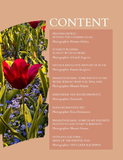 Bold & Beyond Nature (Issue 482 August 2025), page 2