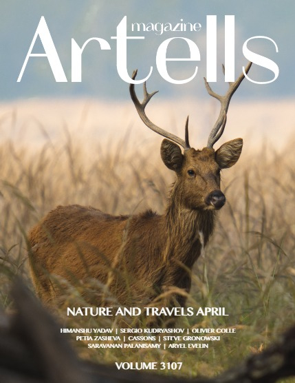 ARTELLS MAGAZINE - NATURE & TRAVELS APRIL (Vol 3107), page 1