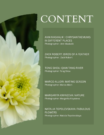 Bold & Beyond Nature (Issue 602 November 2025), page 2