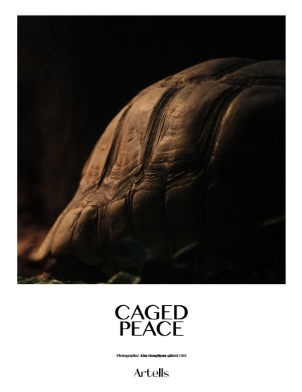 ARTELLS MAGAZINE - NATURE & TRAVELS JANUARY (Vol 3805), page 4