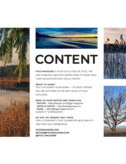 FIGGI MAGAZINE - NATURE & TRAVEL FEBRUARY (Vol 1991), page 3