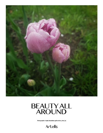 ARTELLS MAGAZINE - NATURE & TRAVELS MAY (Vol 3180), page 4