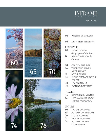 Issue 261 - Lifestyle, Travel and Nature Edition - November 2025, page 3