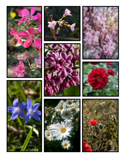 ARTEGO MAGAZINE - NATURE & TRAVELS MAY ISSUE 844, page 3