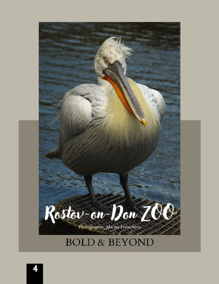 Bold & Beyond Nature (Issue 476 August 2025), page 4