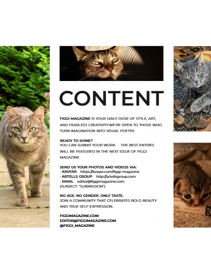 FIGGI MAGAZINE - LOVELY PETS OCTOBER (Vol 1815), page 3
