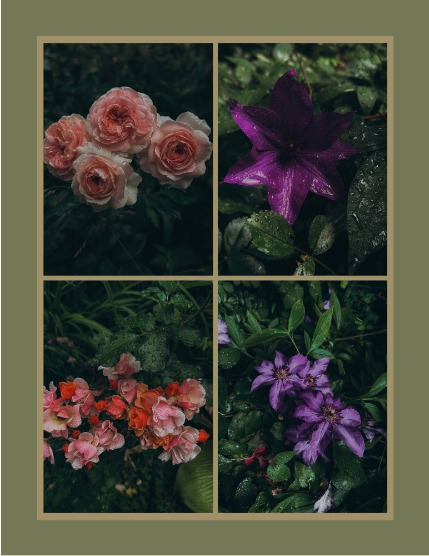 Bold & Beyond Nature (Issue 398 July 2025), page 3