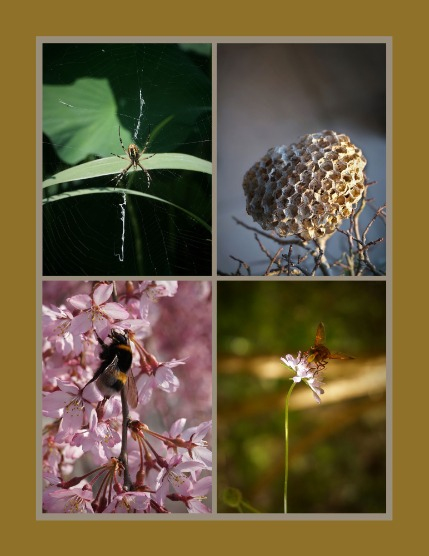 Bold & Beyond Nature (Issue 577 October 2025), page 3