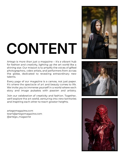 ARTEGO MAGAZINE -   FANTASY DECEMBER ISSUE 1137, page 2