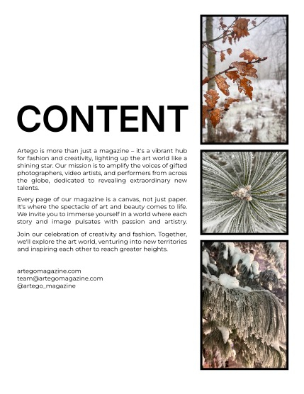 ARTEGO MAGAZINE - NATURE & TRAVELS FEBRUARY ISSUE 1208, page 2