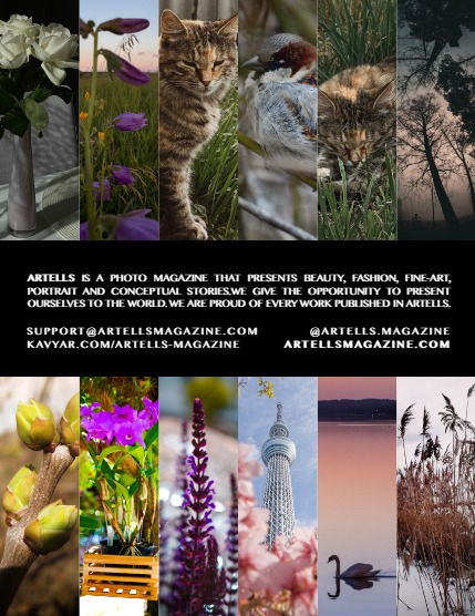 ARTELLS MAGAZINE - NATURE & TRAVELS APRIL (Vol 3106), page 3