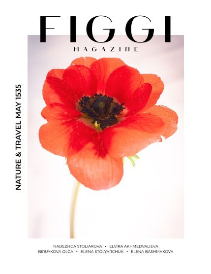 FIGGI MAGAZINE - NATURE & TRAVEL MAY (Vol 1535), page 1