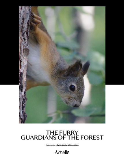 ARTELLS MAGAZINE - NATURE & TRAVEL SEPTEMBER (Vol 3564), page 4