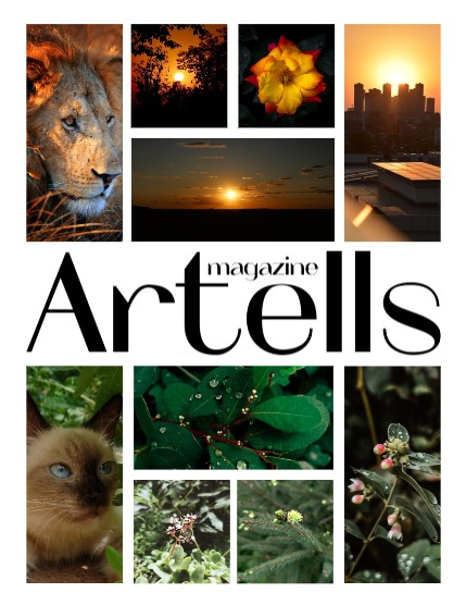 ARTELLS MAGAZINE - NATURE & TRAVELS OCTOBER (Vol 3620), page 2