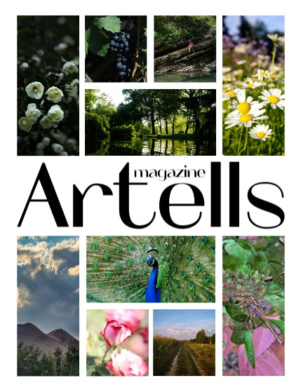 ARTELLS MAGAZINE - NATURE & TRAVELS OCTOBER (Vol 3622), page 2