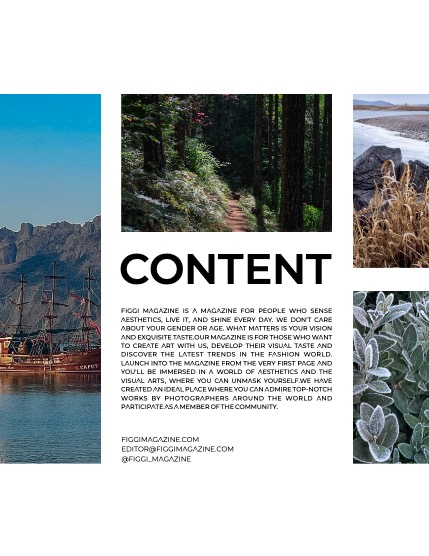 FIGGI MAGAZINE - NATURE & TRAVEL FEBRUARY (Vol 1392), page 3