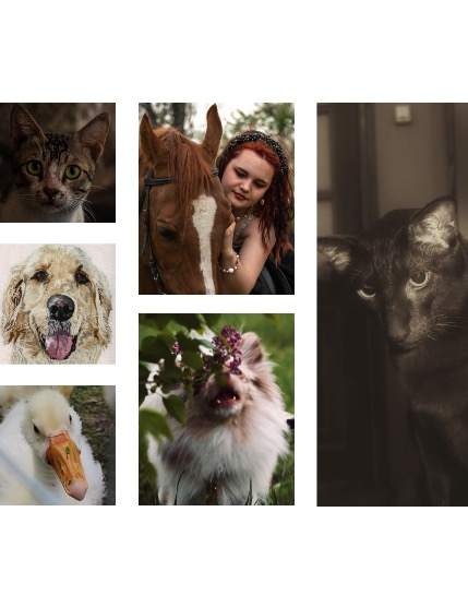 FIGGI MAGAZINE - LOVELY PETS JULY (Vol 1677), page 2