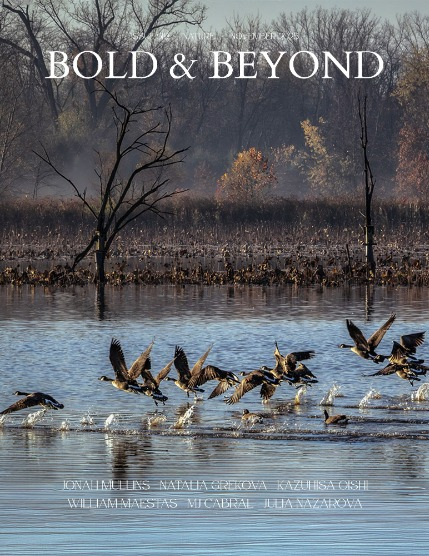 Bold & Beyond Nature (Issue 619 November 2025), page 1