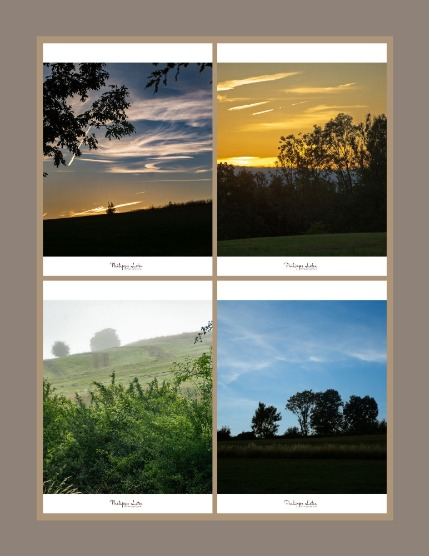 Bold & Beyond Nature (Issue 403 July 2025), page 3