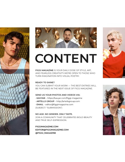FIGGI MAGAZINE - MEN JUNE (Vol 1634) , page 3