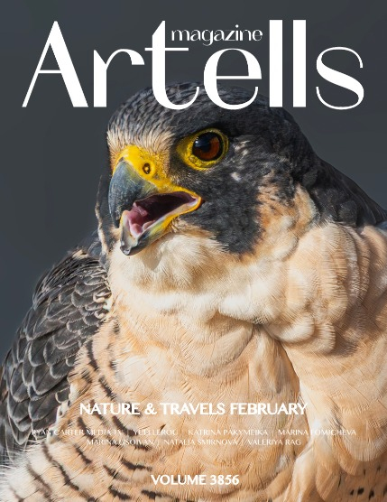 ARTELLS MAGAZINE - NATURE & TRAVELS FEBRUARY (Vol 3856), page 1