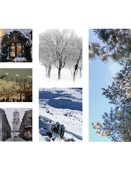FIGGI MAGAZINE - NATURE & TRAVEL FEBRUARY (Vol 1394), page 2