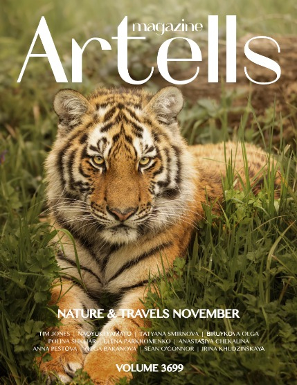 ARTELLS MAGAZINE - NATURE & TRAVELS NOVEMBER (Vol 3699), page 1