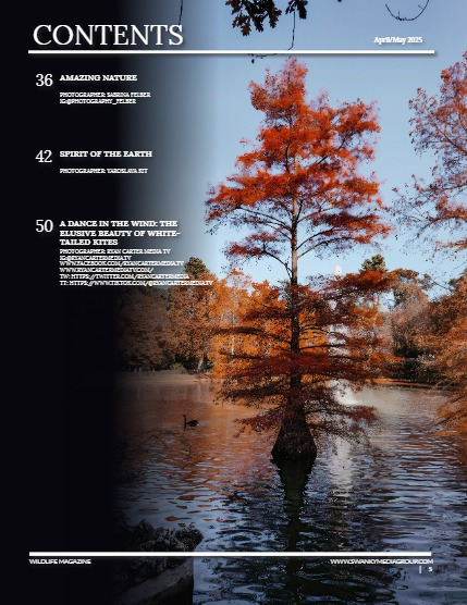 Conker Nature The Forest Issue April/May 2025, page 5