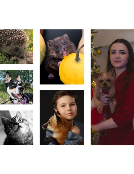 FIGGI MAGAZINE - LOVELY PETS NOVEMBER (Vol 1878), page 2